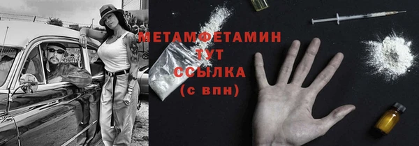 мдпв Ладушкин