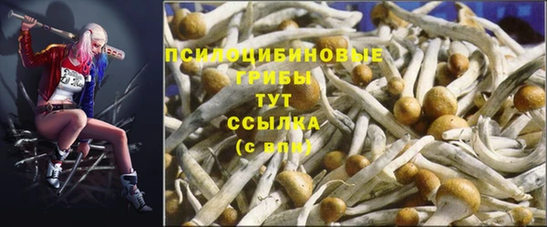ECSTASY Кукмор