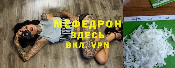 мдпв Ладушкин