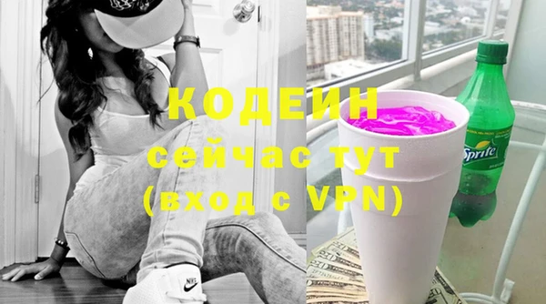 мдпв Ладушкин