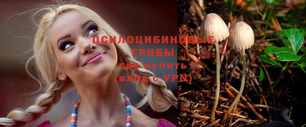 ECSTASY Кукмор