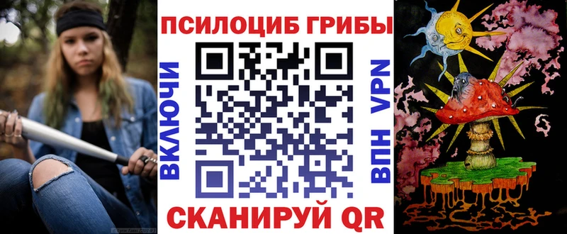 где можно купить наркотик  Правдинск  Псилоцибиновые грибы мухоморы 